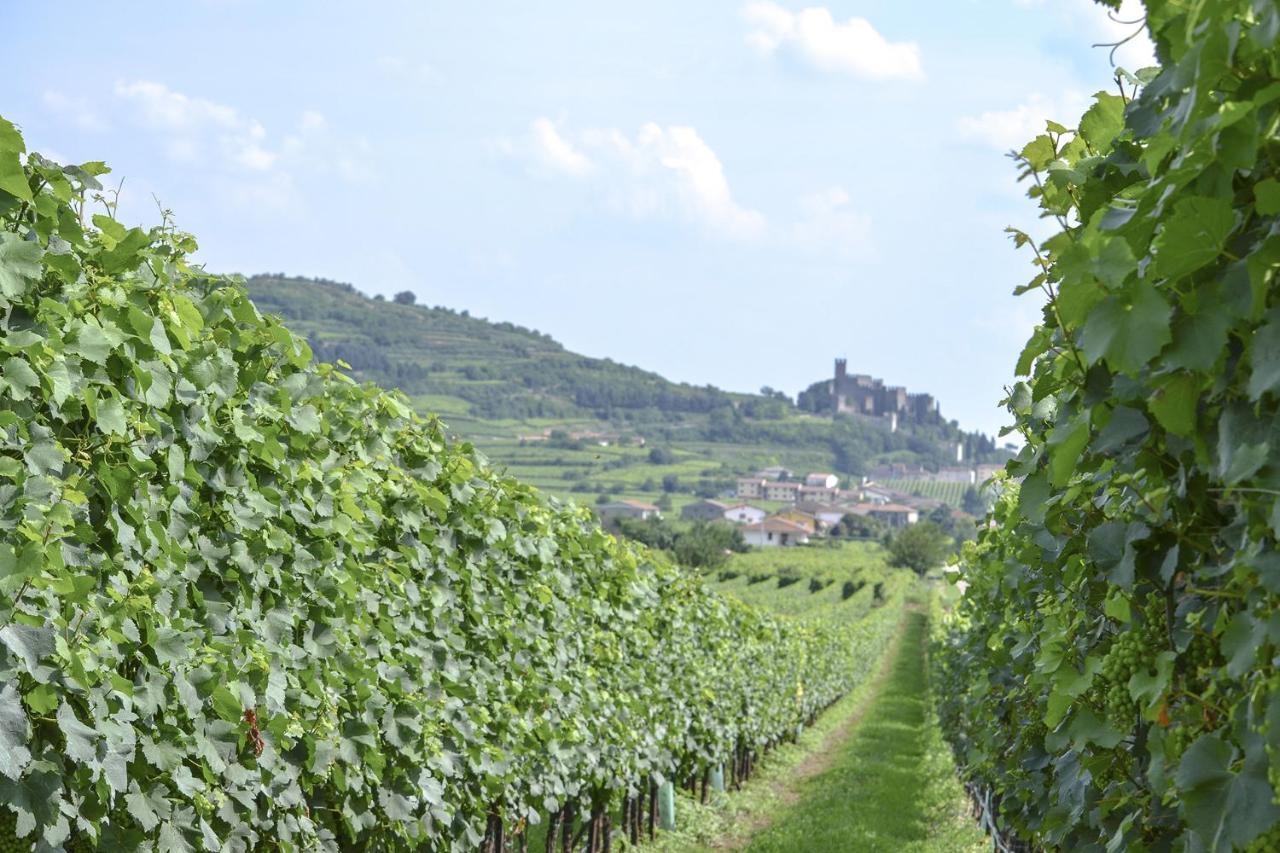 B&B Antique Maison Soave  Exterior foto